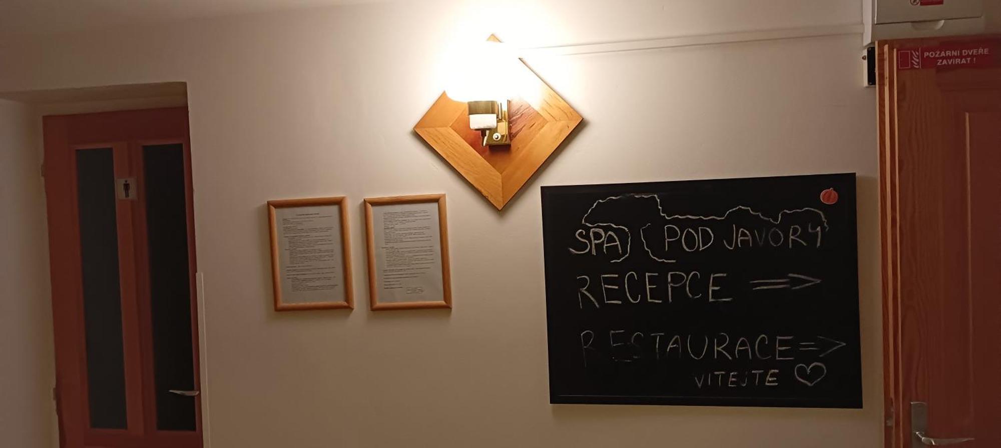 Spa Pod Javory Nejdek Екстер'єр фото